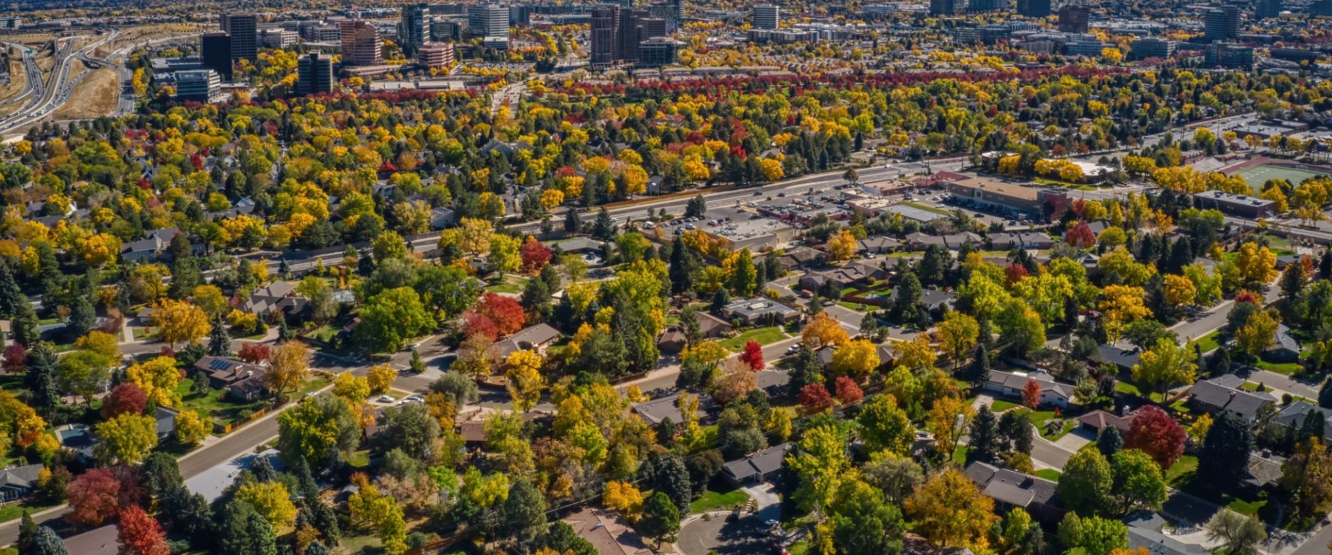 Small Business Programs and Initiatives in Aurora, Colorado: Get the Support You Need to Succeed